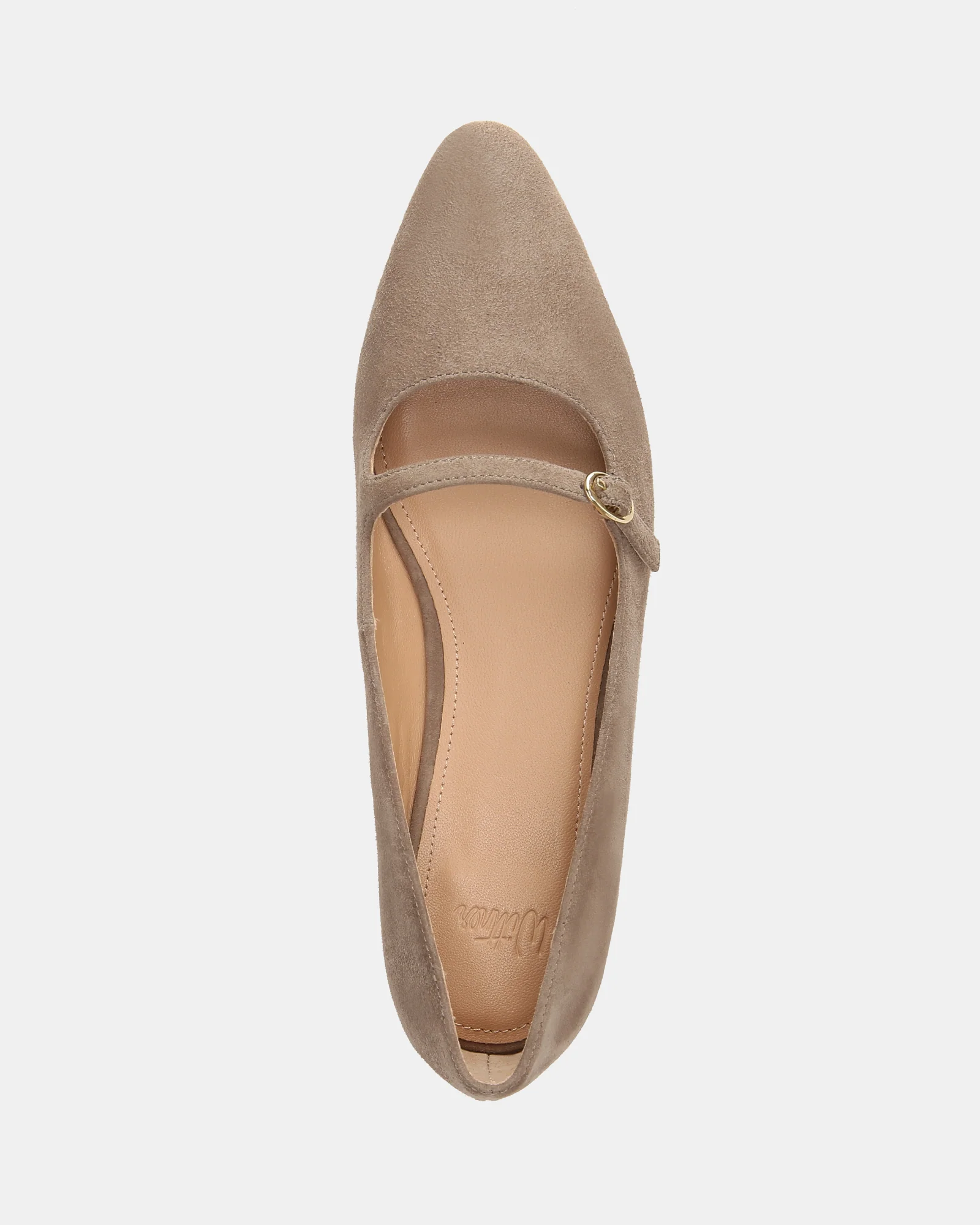 Carina Taupe Suede Leather Pointed Ballet Flat - Image 5